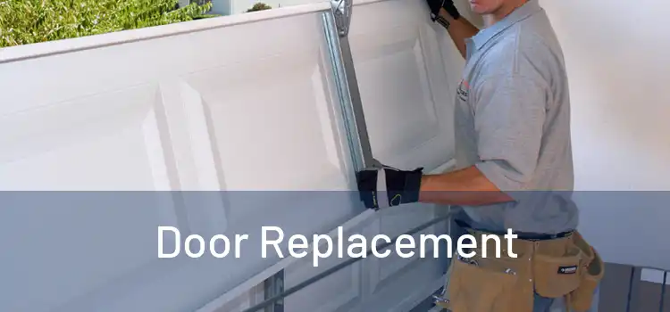  Door Replacement 